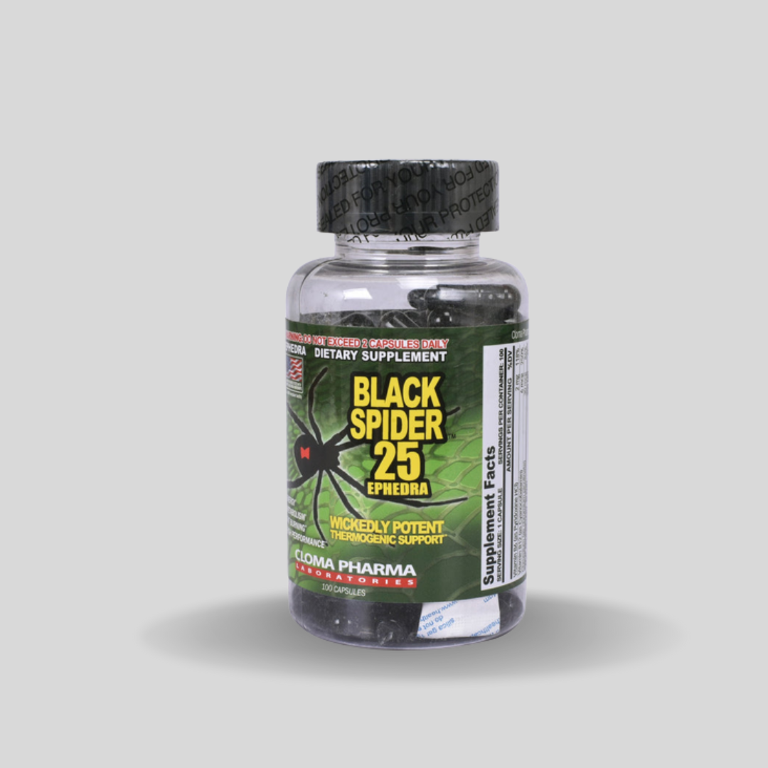 BLACK SPIDER